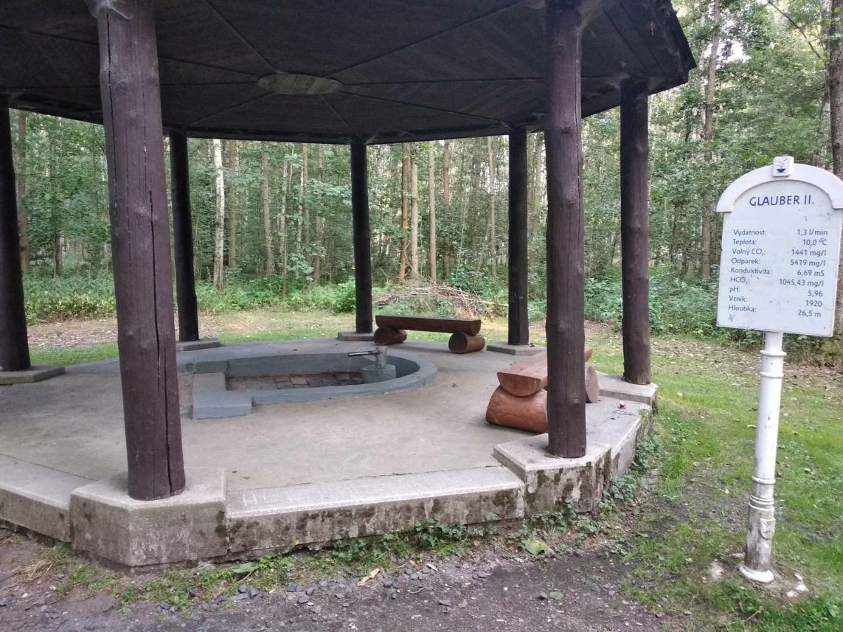 Apartments Ceska Františkovy Lázně Zewnętrze zdjęcie