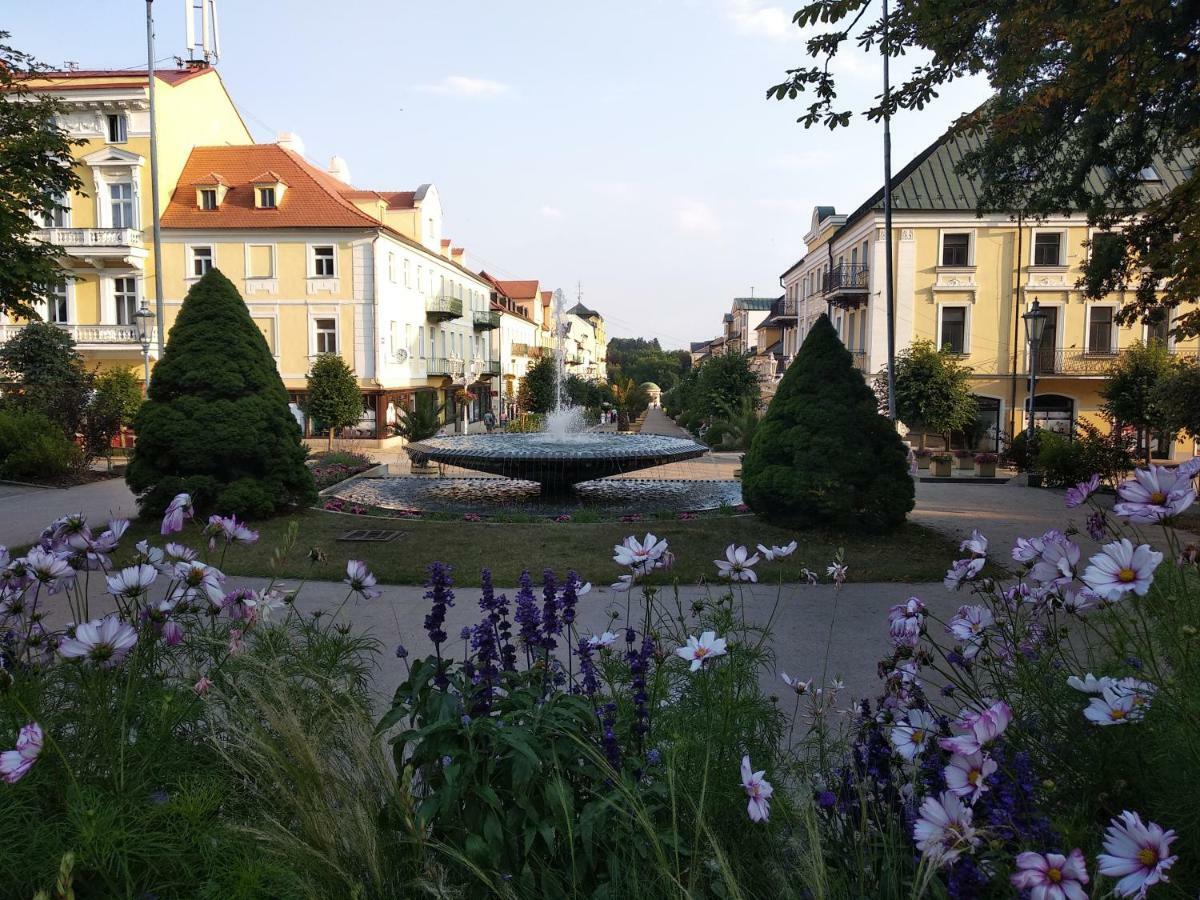 Apartments Ceska Františkovy Lázně Zewnętrze zdjęcie